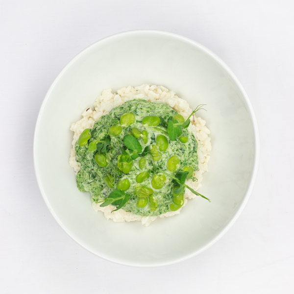 Risotto et crème d'épinards, fèves des marais